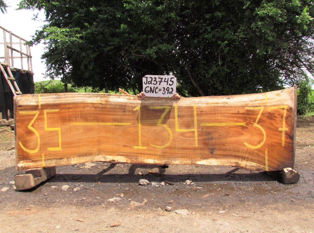 Image of PAROTA - 134x36x3 Inches - J23745GNC - a live edge PAROTA slab, 134 Inches long, 36 Inches wide, and 3 Inches thick.