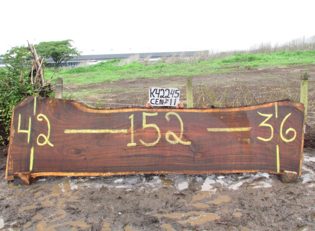 Image of MONKEY POD - 152x39x2 Inches - K42245CEN - a live edge MONKEY POD slab, 152 Inches long, 39 Inches wide, and 2 Inches thick.