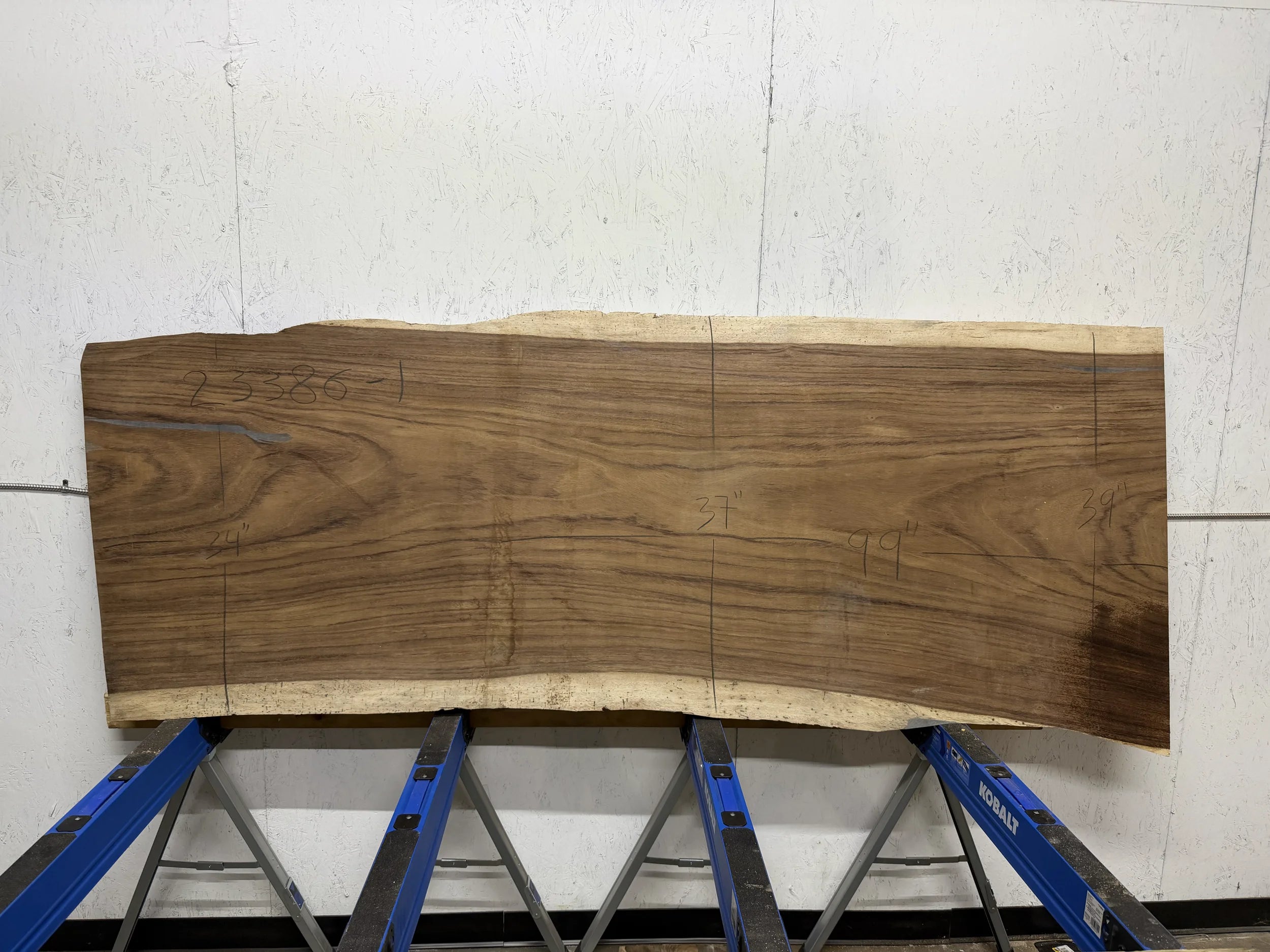 PAROTA - 261x46x3 Inches - J23386GNC