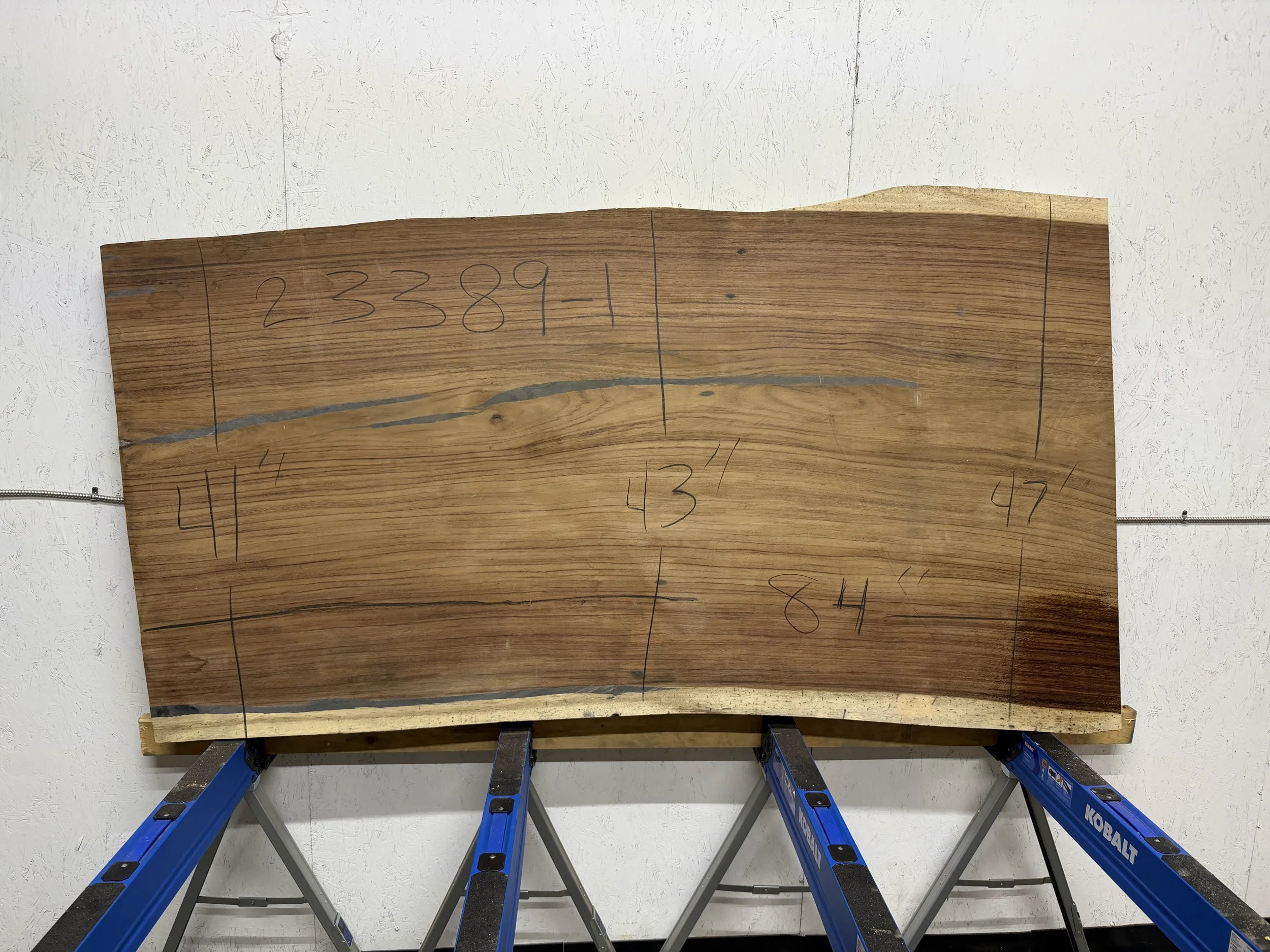 PAROTA - 260x49x3 Inches - J23389GNC