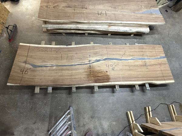 PAROTA - 260x49x3 Inches - J23389GNC