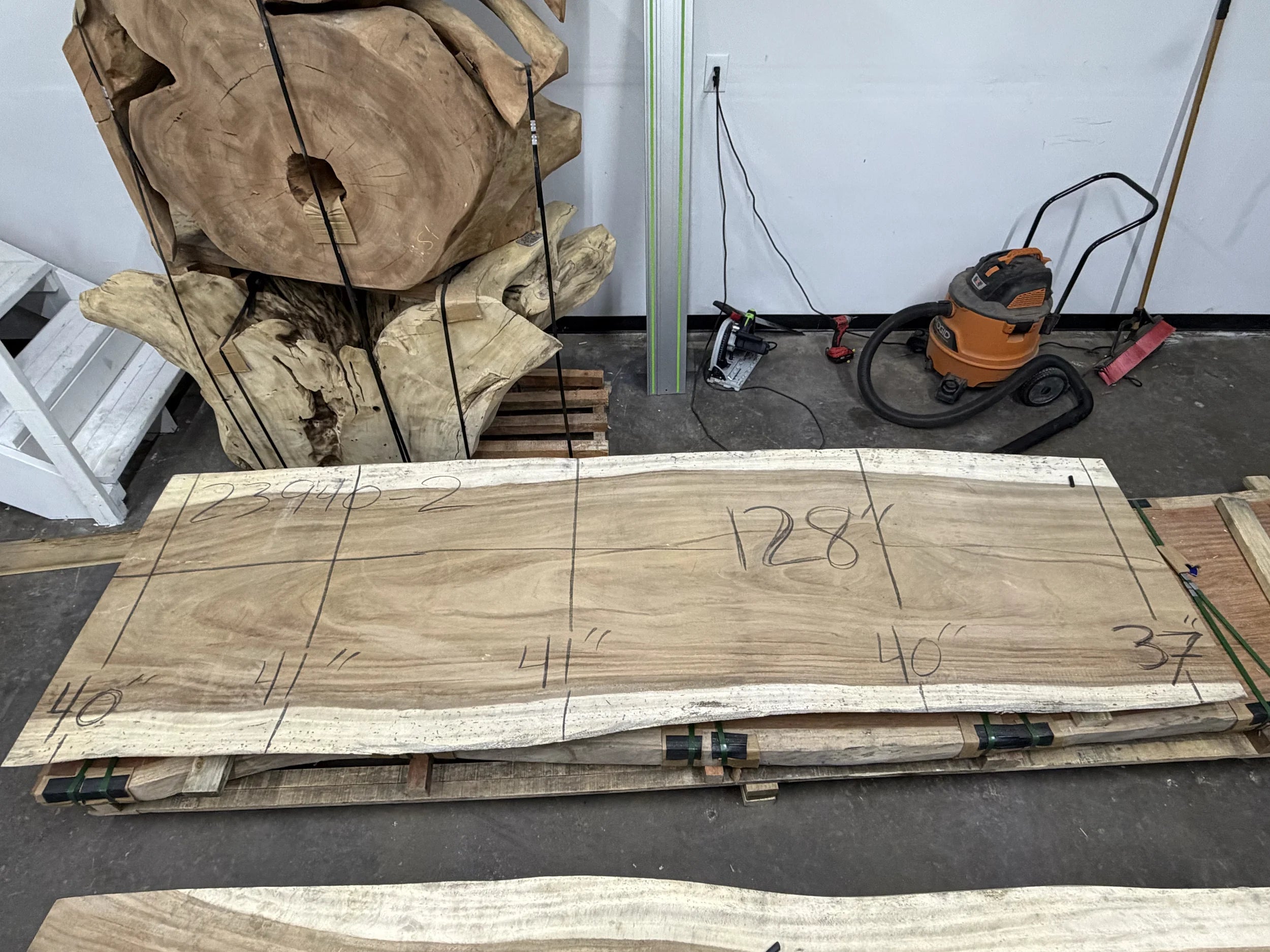 PAROTA - 213x38x3 Inches - J23940GNC