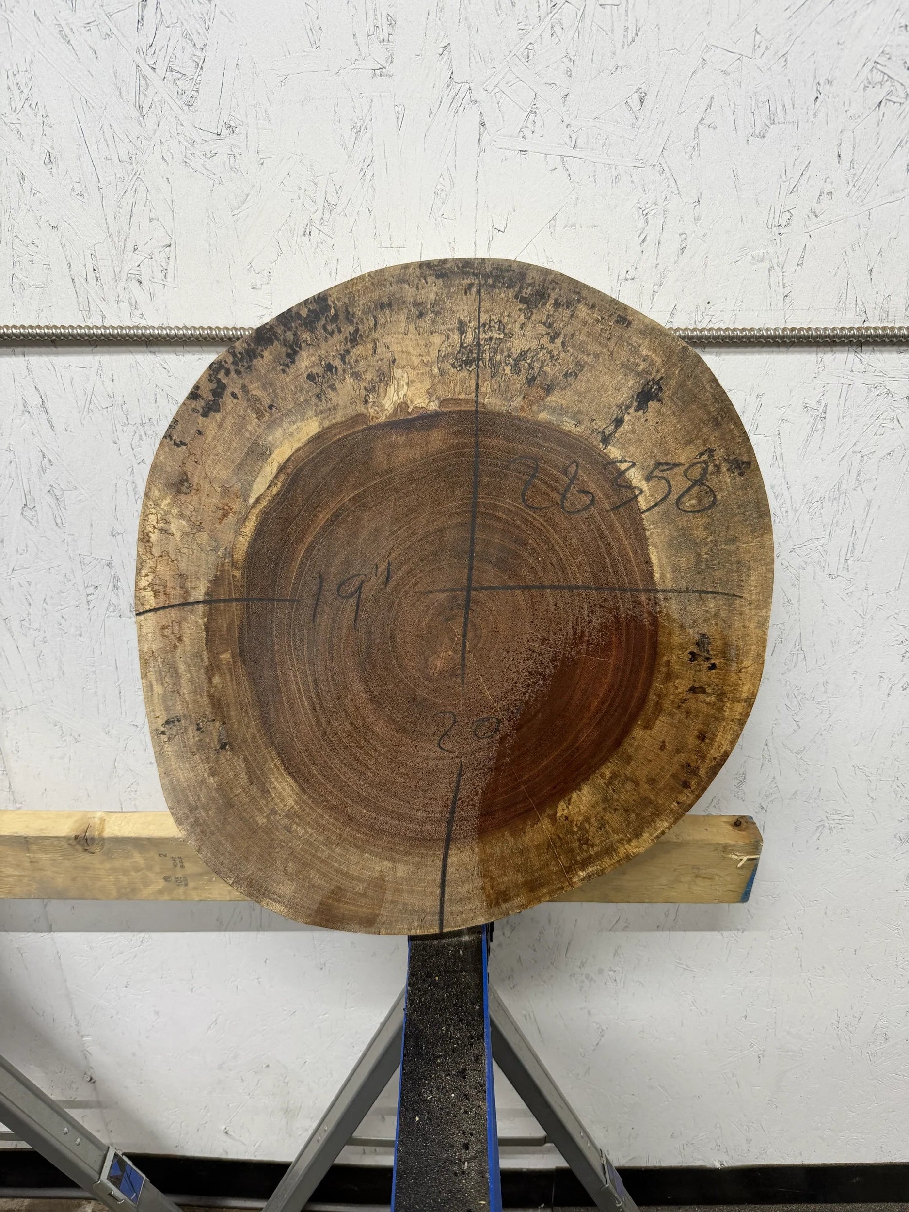 Jatoba live edge wood slab, 21x15x2 inches, brown circular piece on white background.