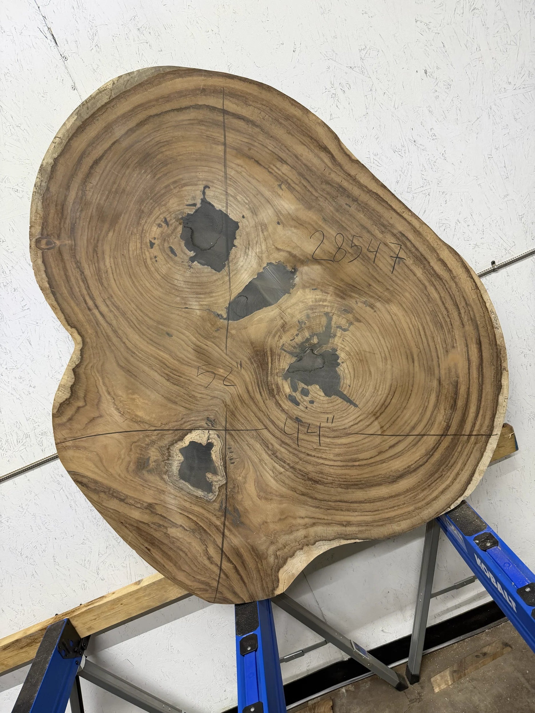 Parota live edge round wood slab on a white floor with a blue woodworking tool in the background.

52x44