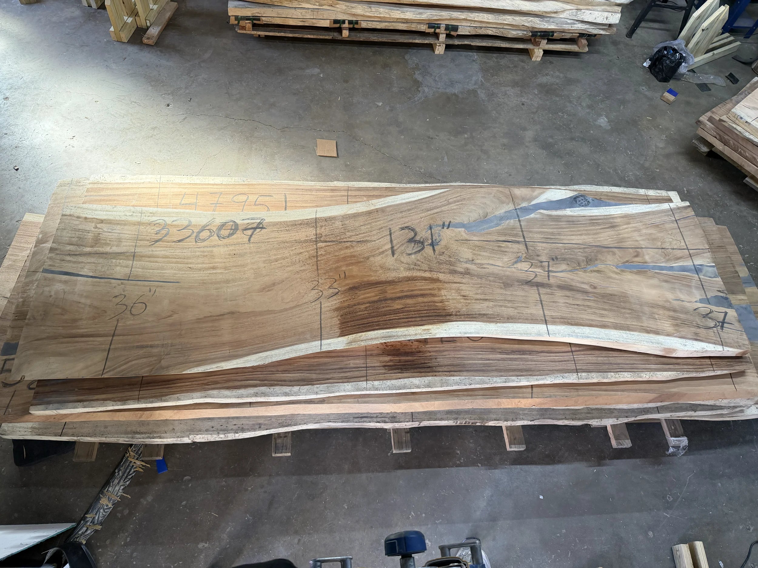 PAROTA - 136x36x2 Inches - K33607GNC