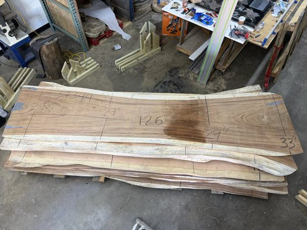 PAROTA - 127x33x2 Inches - K37349GNC