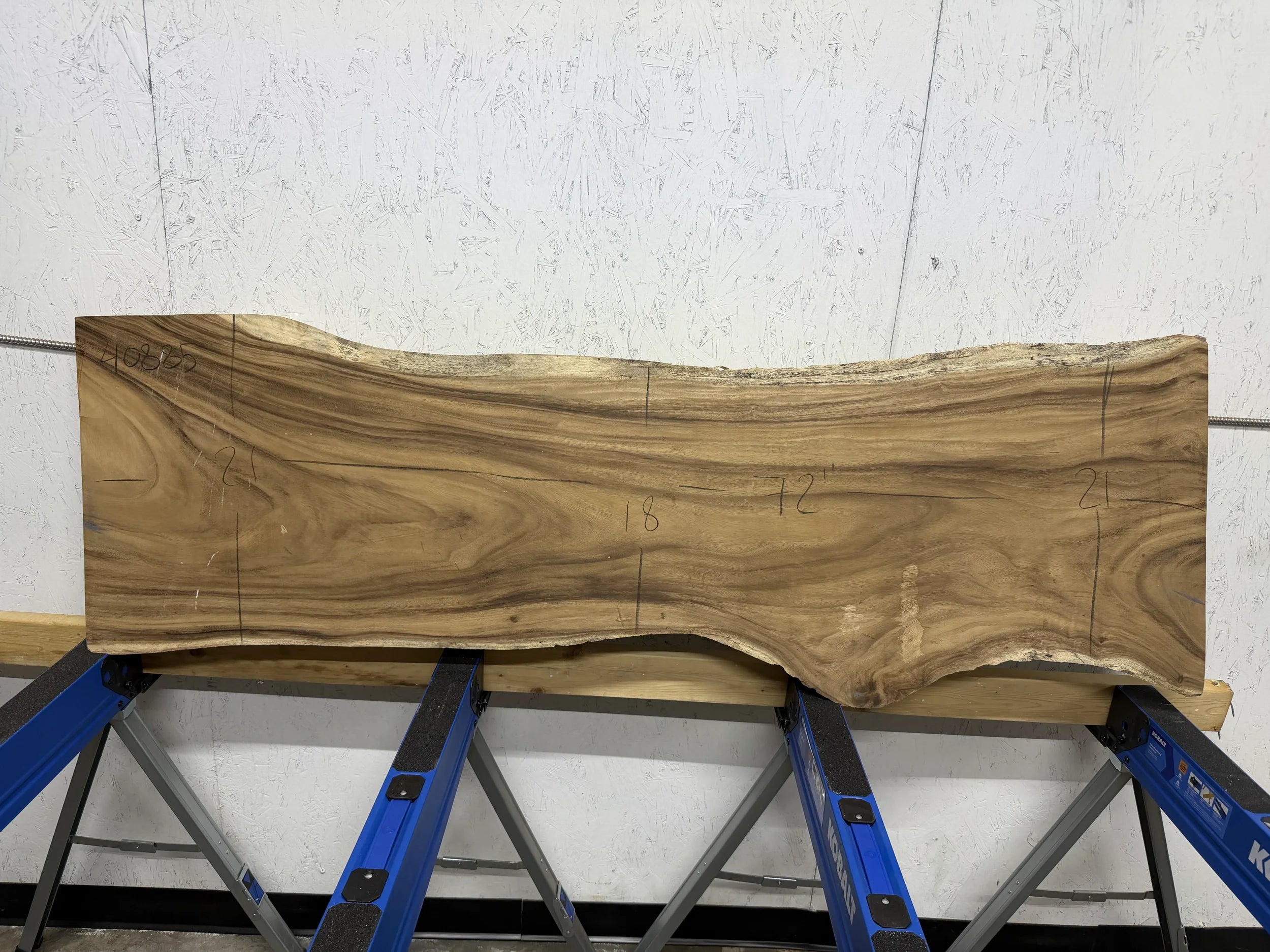 Large wooden slab on a blue stand against a white wall