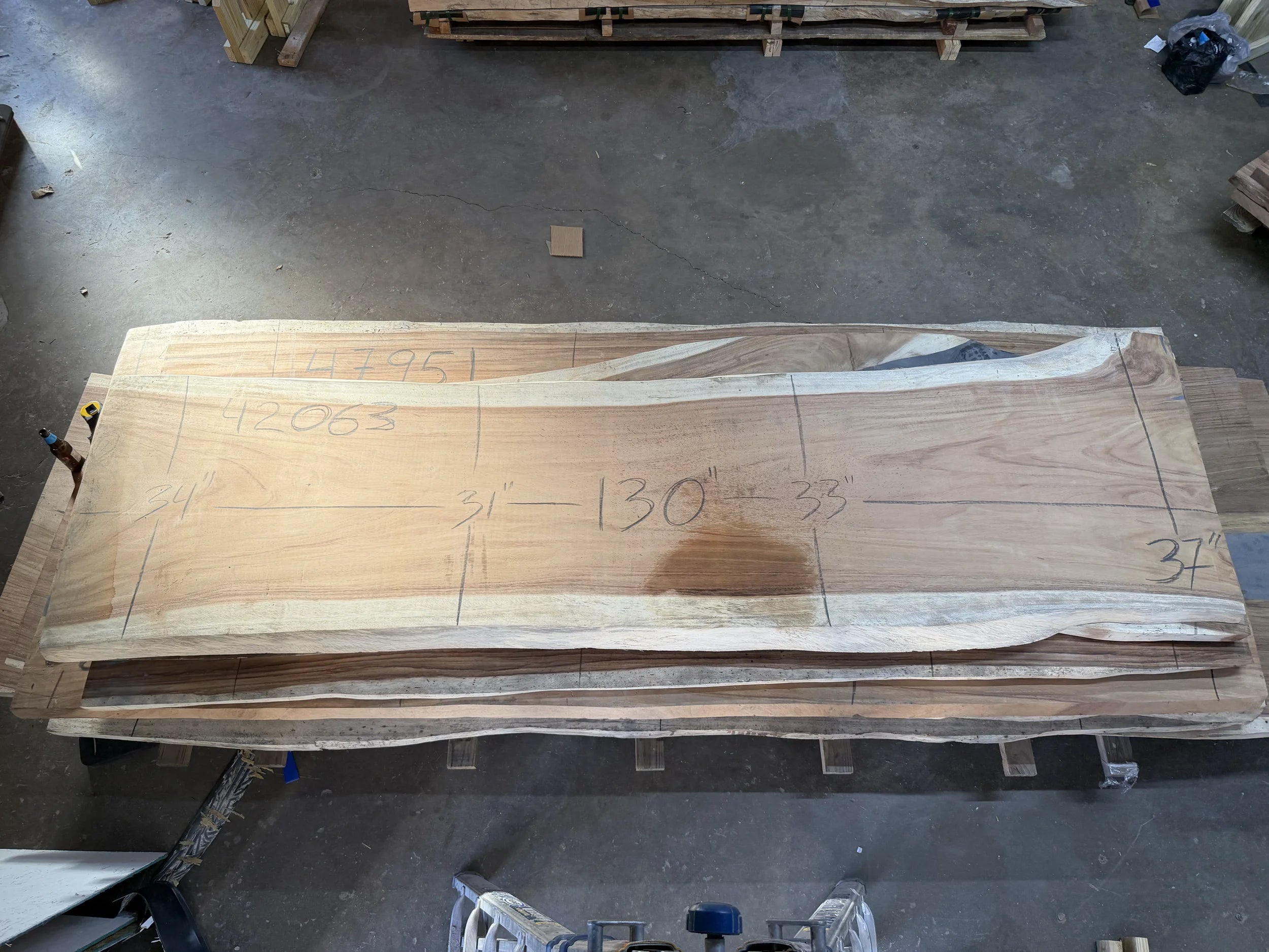 PAROTA - 130x37x2 Inches - K42063GNC