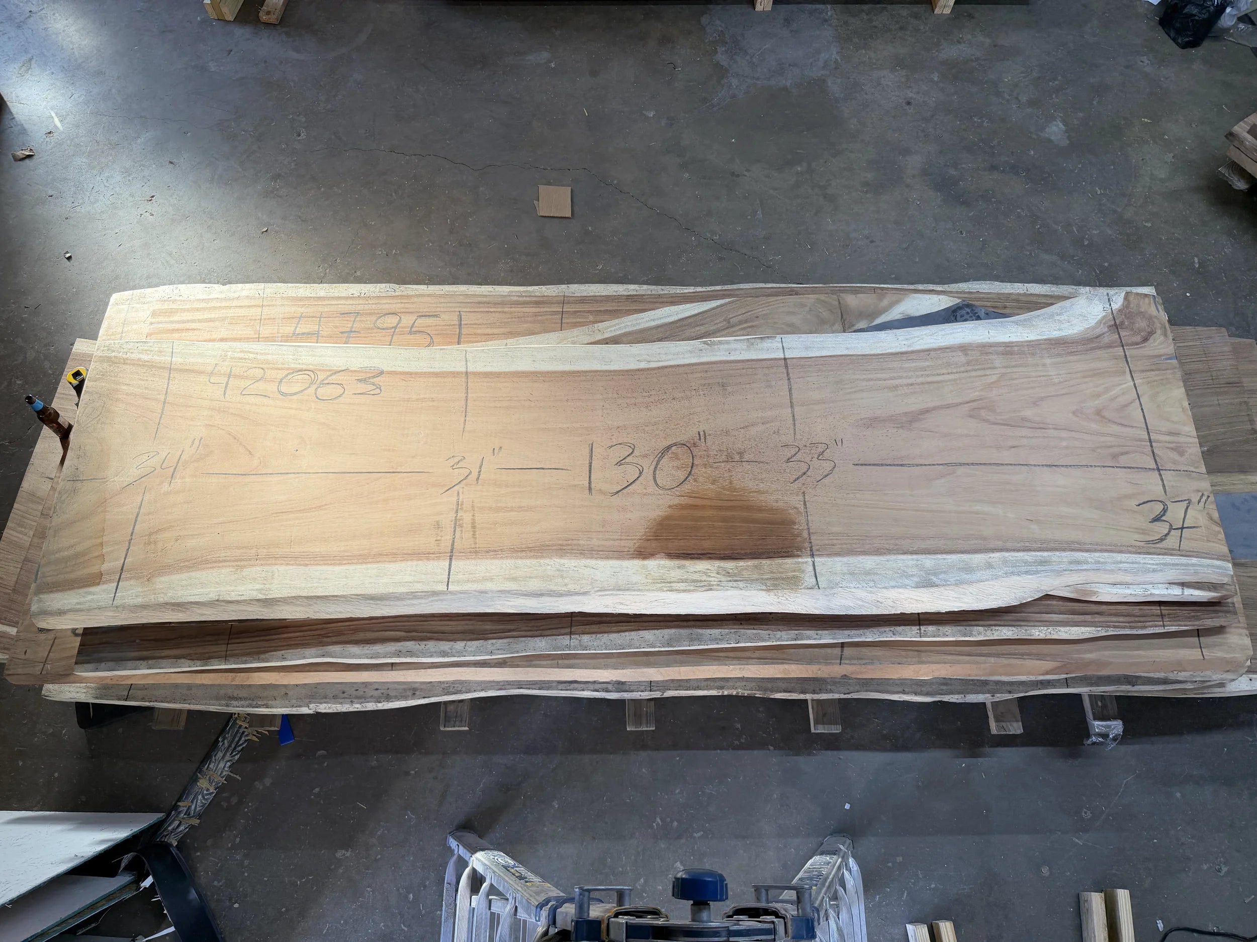 PAROTA - 130x37x2 Inches - K42063GNC