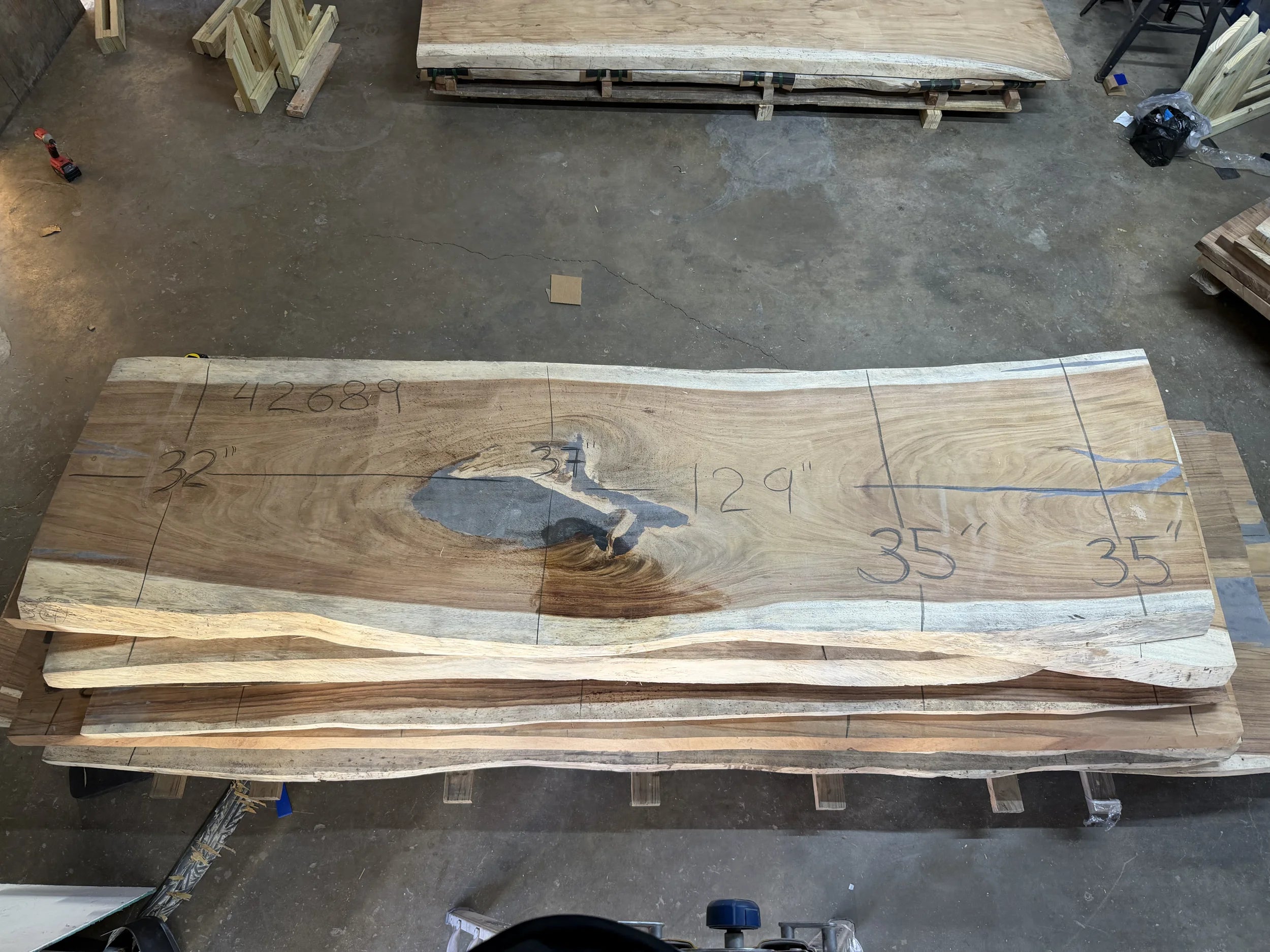 PAROTA - 129x37x2 Inches - K42689GNC