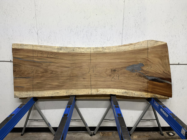 PAROTA - 88x32x2 Inches - K43982GNC