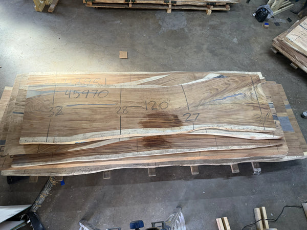 PAROTA - 120x31x2 Inches - K45970GNC