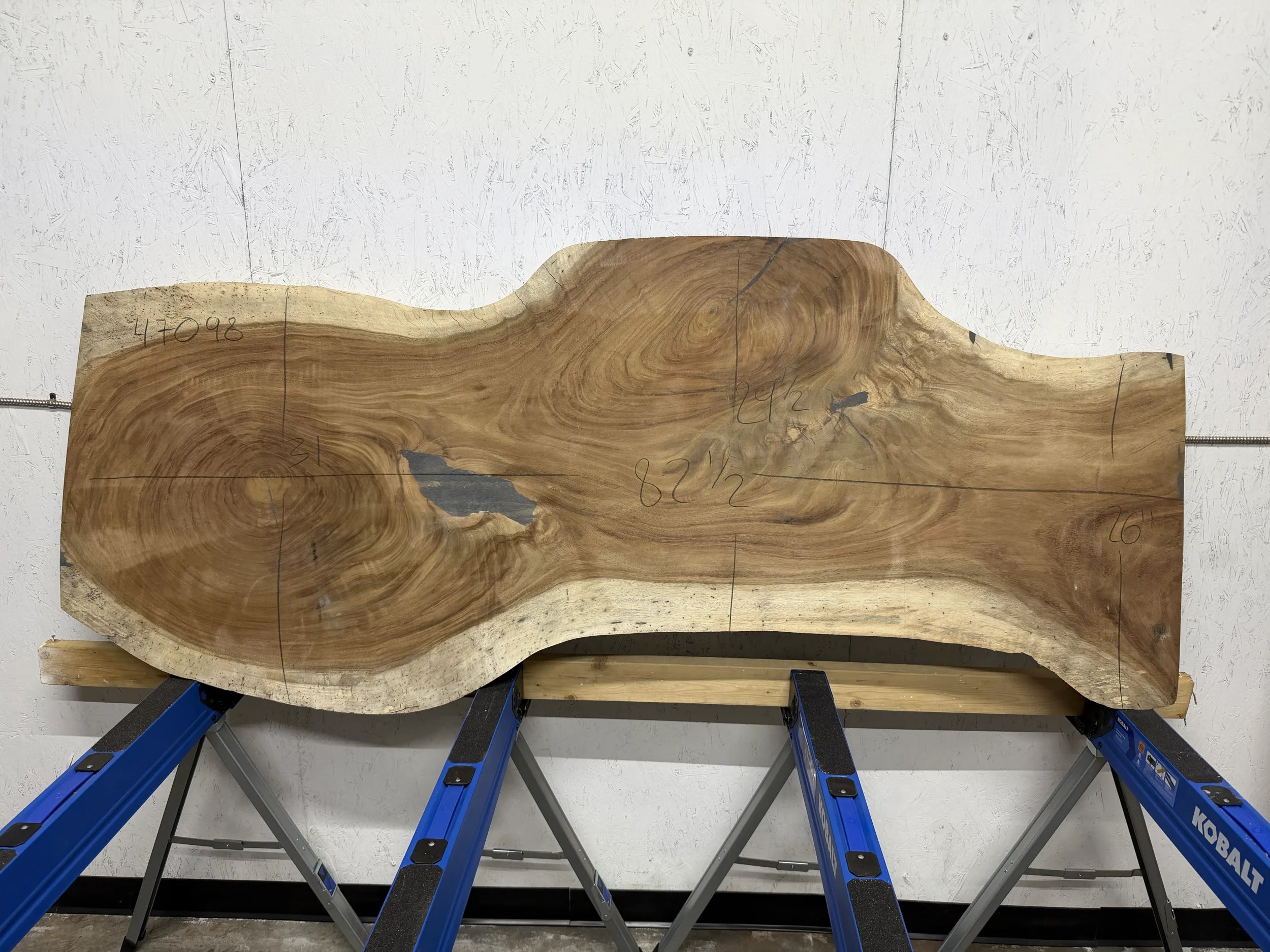 PAROTA - 83x29x2 Inches - K47098GNC