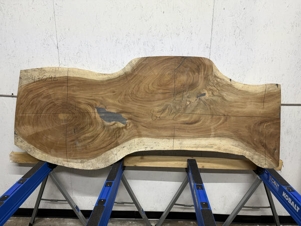 PAROTA - 83x29x2 Inches - K47098GNC