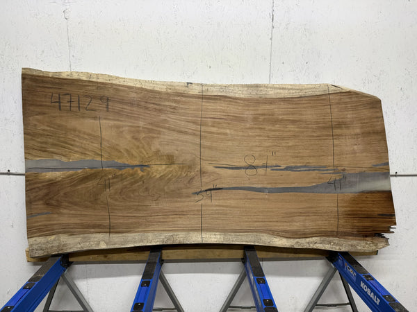 PAROTA - 88x41x2 Inches - K47129GNC