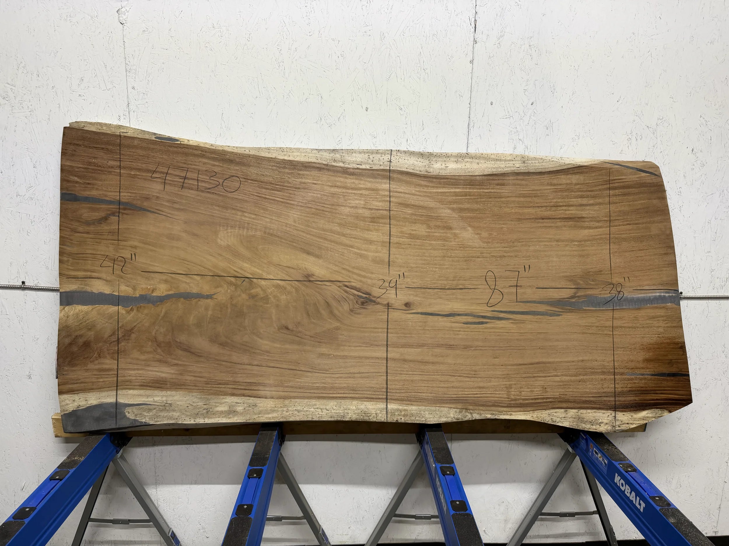 PAROTA - 87x41x2 Inches - K47130GNC