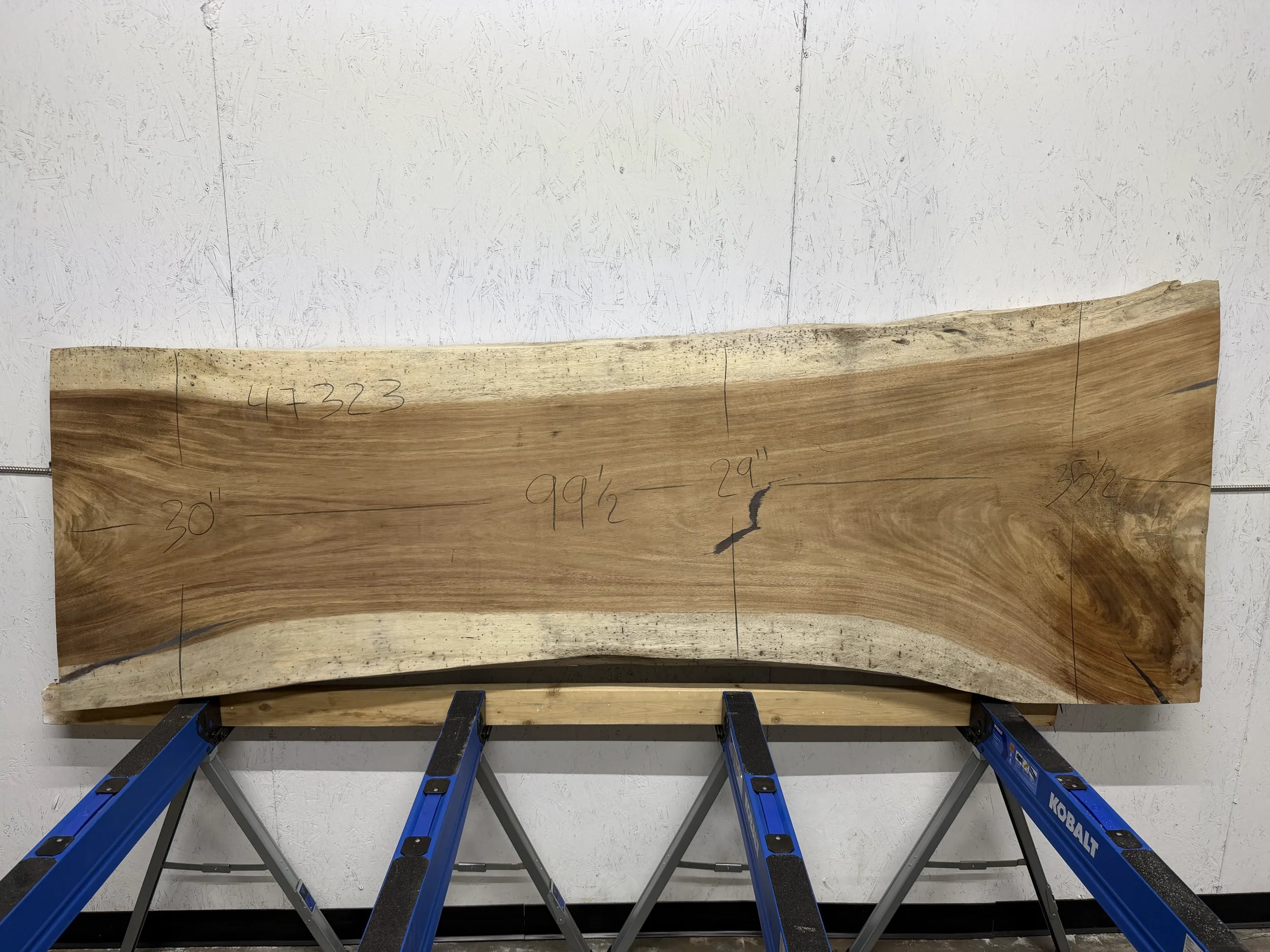 PAROTA - 100x33x2 Inches - K47323GNC