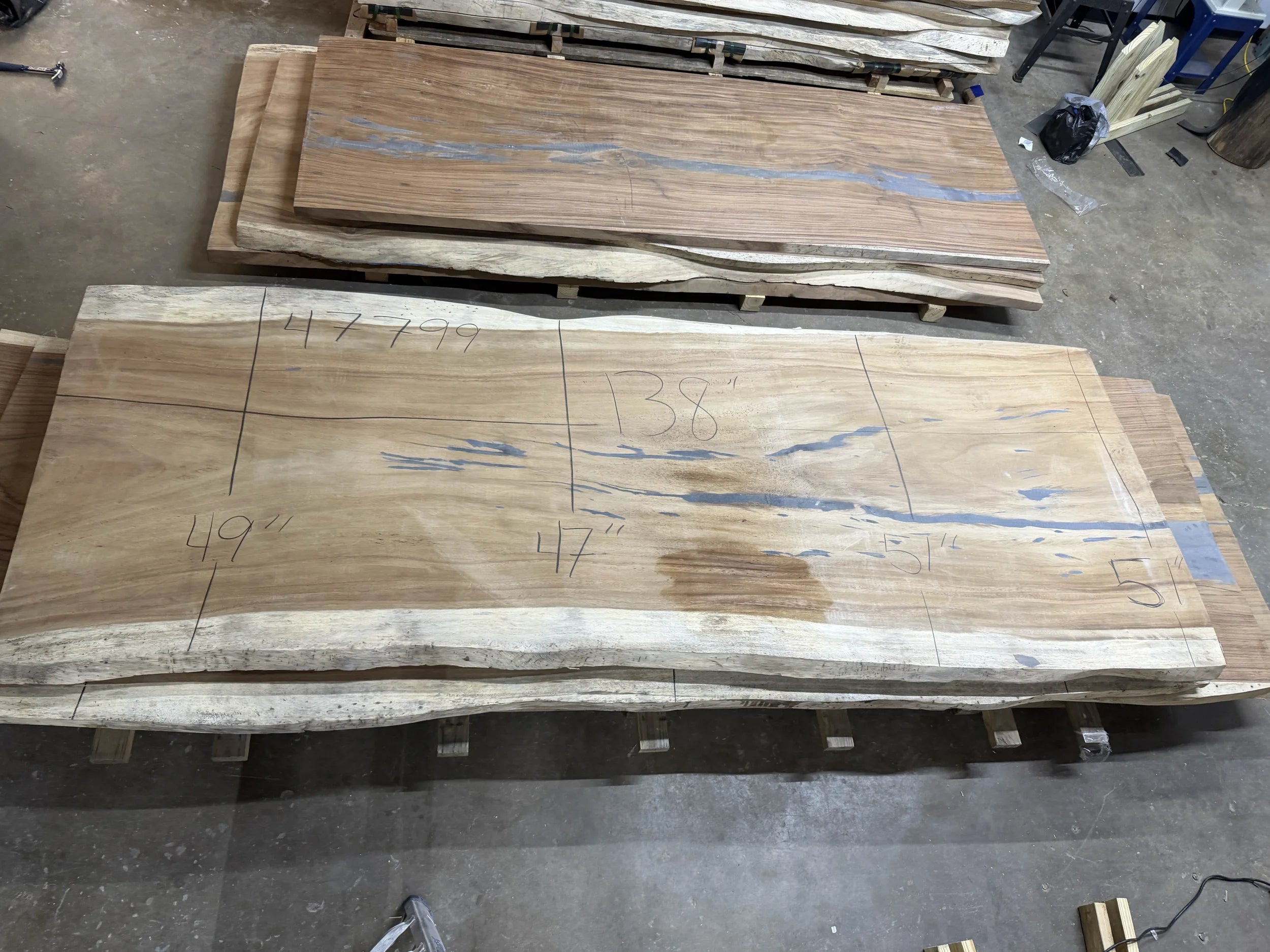 PAROTA - 138x55x2 Inches - K47799GNC