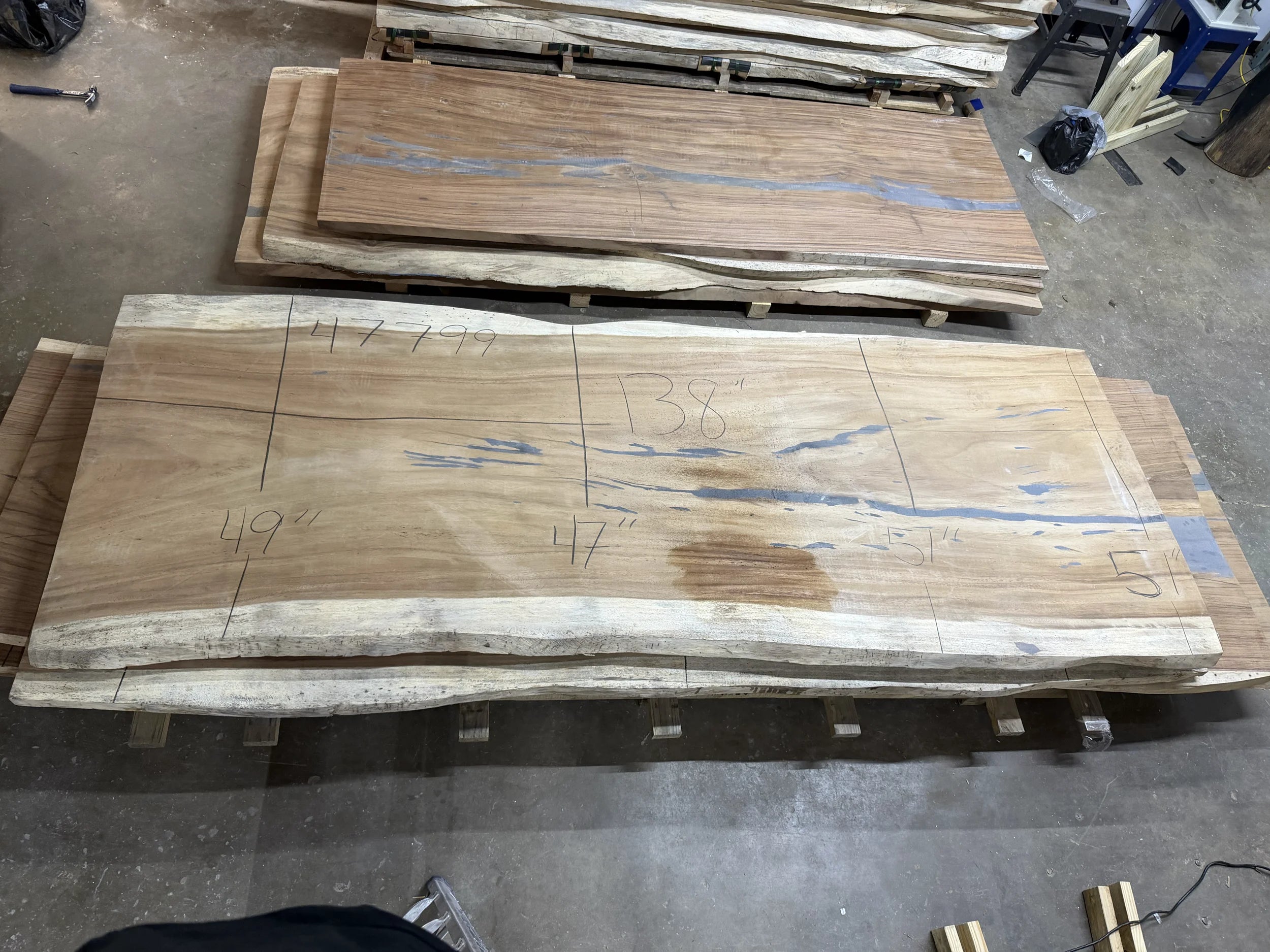 PAROTA - 138x55x2 Inches - K47799GNC