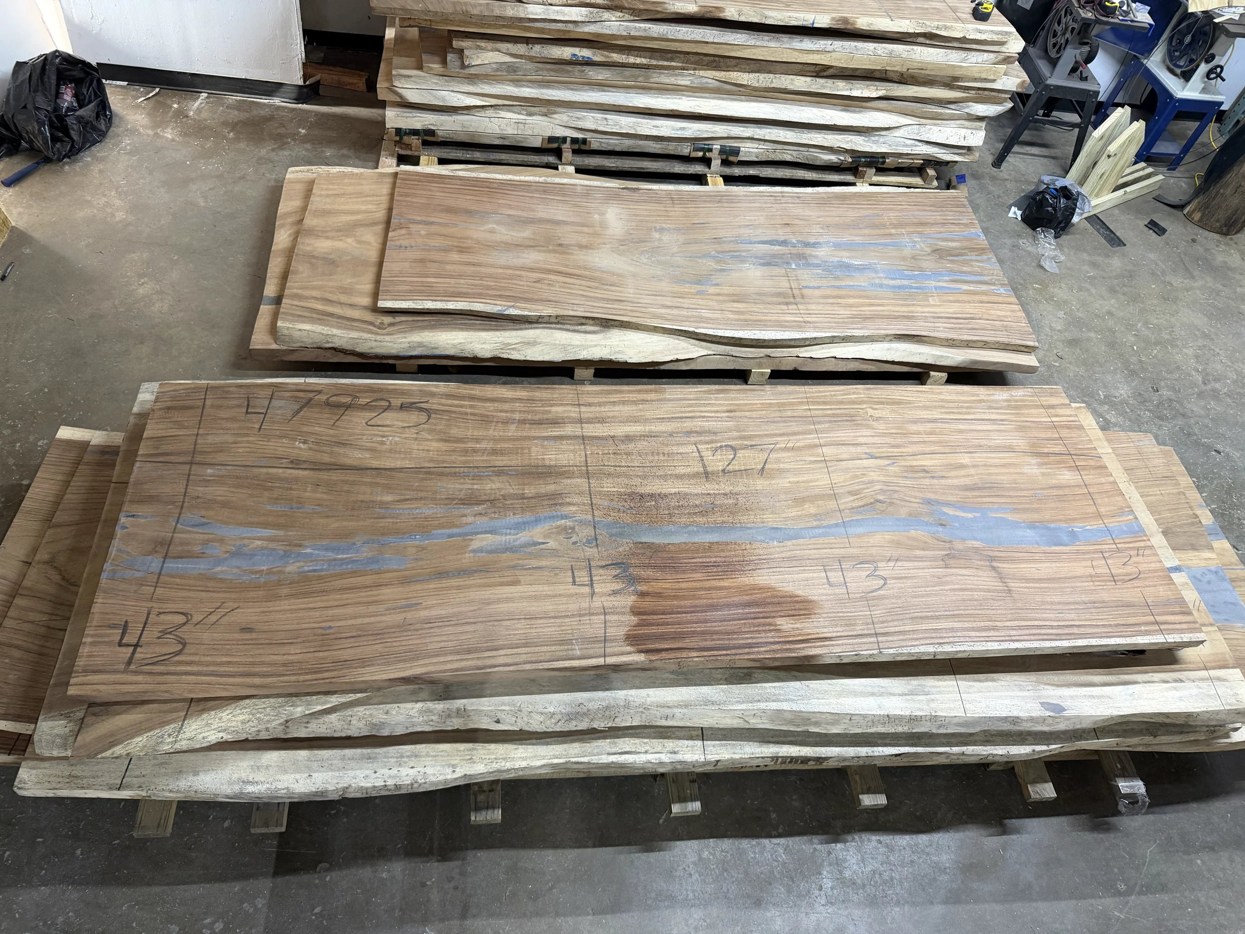 Parota live edge wood slab, 127x43x2 inches, large dining or conference table top on concrete floor