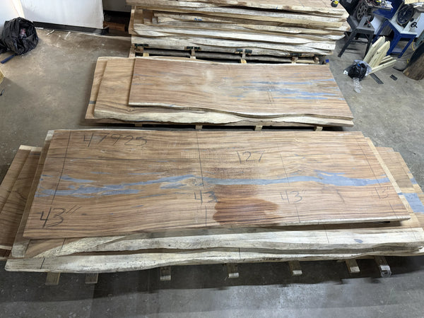 Parota live edge wood slab, 127x43x2 inches, large dining or conference table top on concrete floor