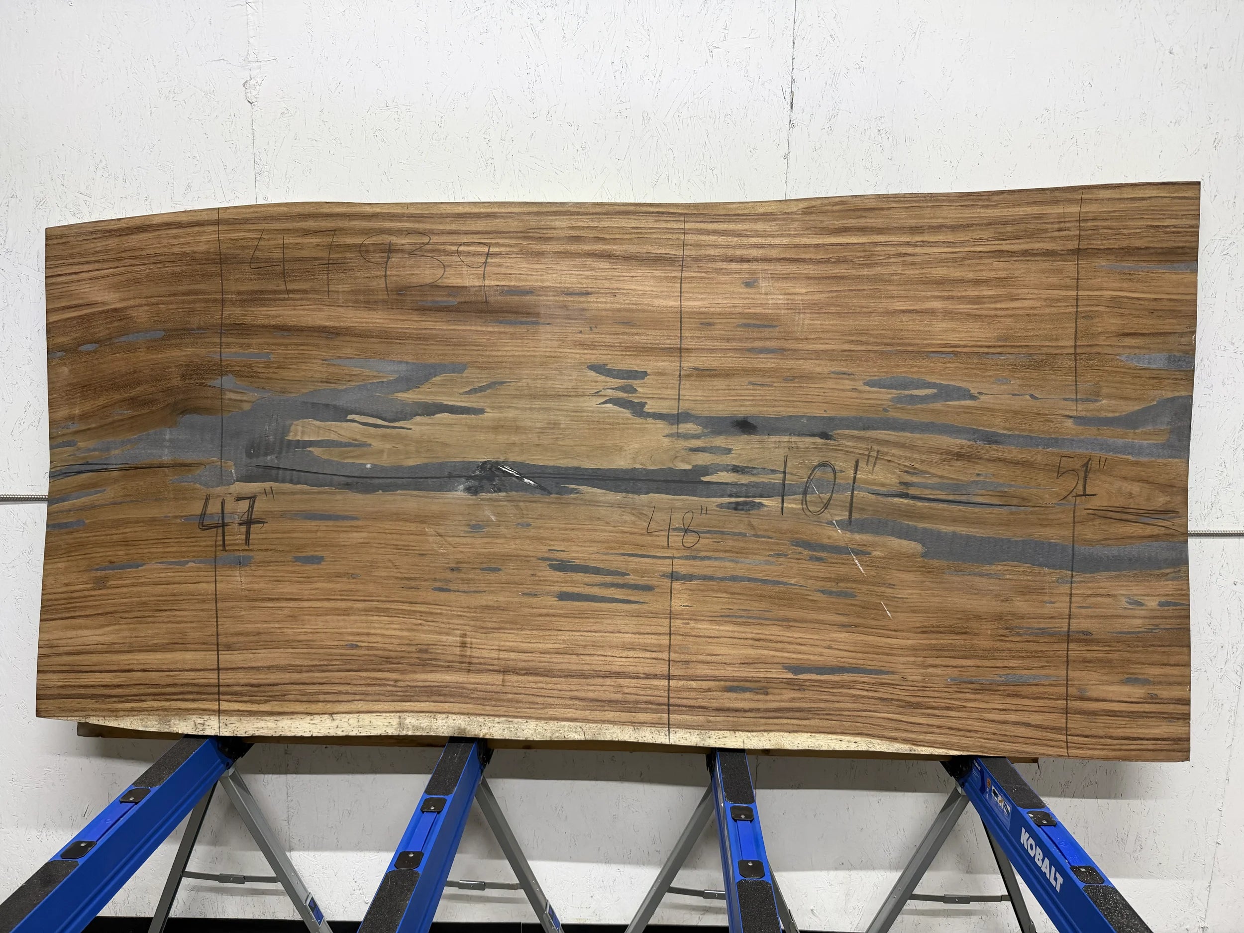 Parota live edge wood slab, 101x51x2 inches, large dining or conference table top on concrete floor