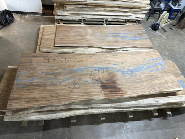 Parota live edge wood slab, 128x47x2 inches, large dining or conference table top on concrete floor