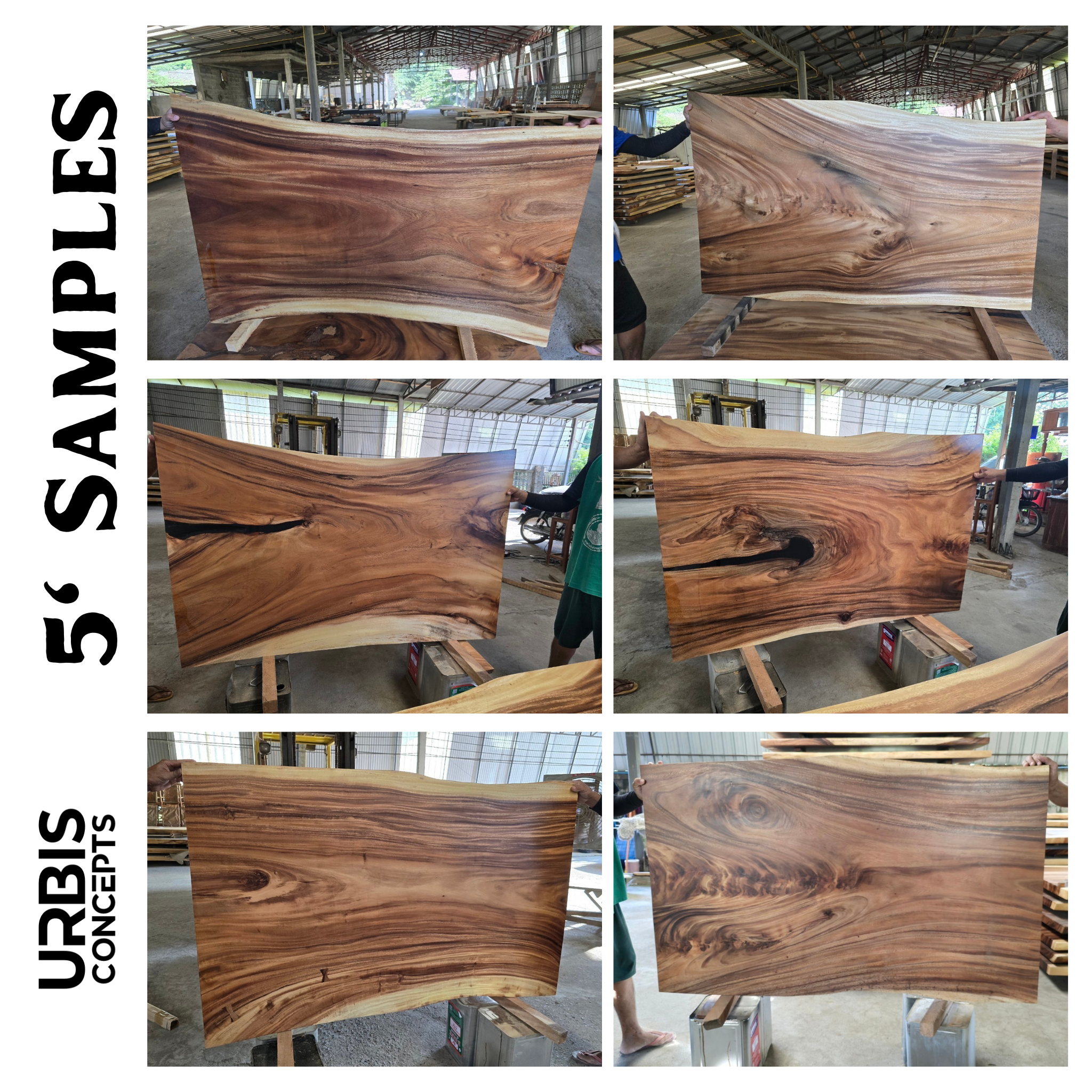 Image of  - a live edge  slab,  long,  wide, and  thick.