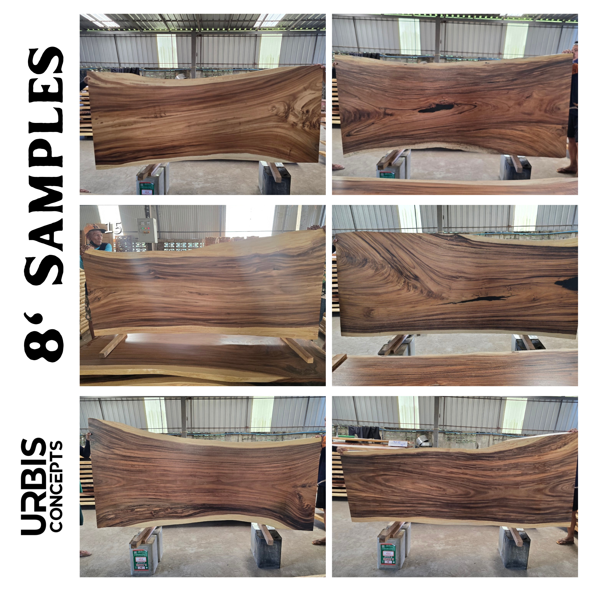 Image of  - a live edge  slab,  long,  wide, and  thick.