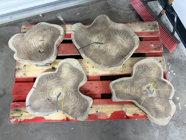 16" TEAK Live Edge Coffee Table Slab – Natural Grain 2" Thick