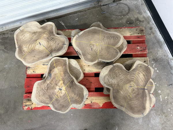 17" TEAK Live Edge Coffee Table Slab – Natural Grain 2" Thick