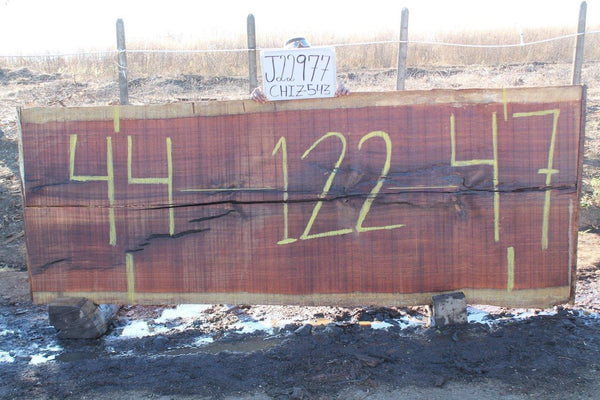 Image of CHIRICANO - 122x46x3 Inches - J22977CHI - a live edge CHIRICANO slab, 122 Inches long, 46 Inches wide, and 3 Inches thick.