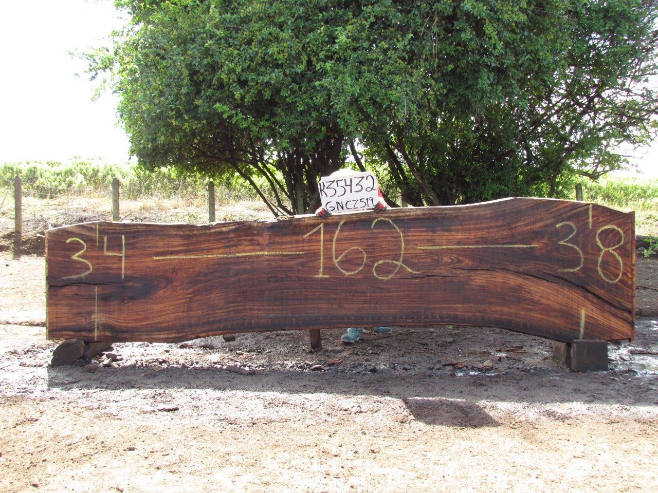 Image of PAROTA - 162x36x2 Inches - K35432GNC - a live edge PAROTA slab, 162 Inches long, 36 Inches wide, and 2 Inches thick.