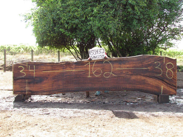 Image of PAROTA - 162x36x2 Inches - K35432GNC - a live edge PAROTA slab, 162 Inches long, 36 Inches wide, and 2 Inches thick.