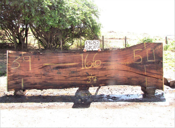 Image of PAROTA - 166x42x2 Inches - K46152GNC - a live edge PAROTA slab, 166 Inches long, 42 Inches wide, and 2 Inches thick.