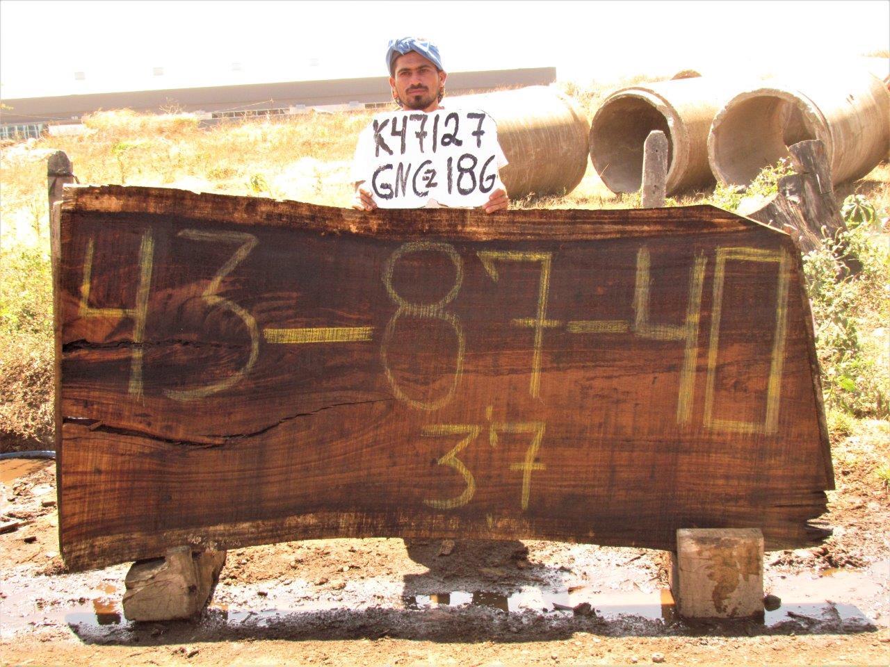 Image of PAROTA - 87x40x2 Inches - K47127GNC - a live edge PAROTA slab, 87 Inches long, 40 Inches wide, and 2 Inches thick.