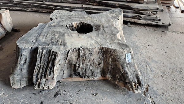 Image of ESPAVEL - 78x51x18 Inches - M19093ESP - a live edge ESPAVEL slab, 78 Inches long, 51 Inches wide, and 18 Inches thick.