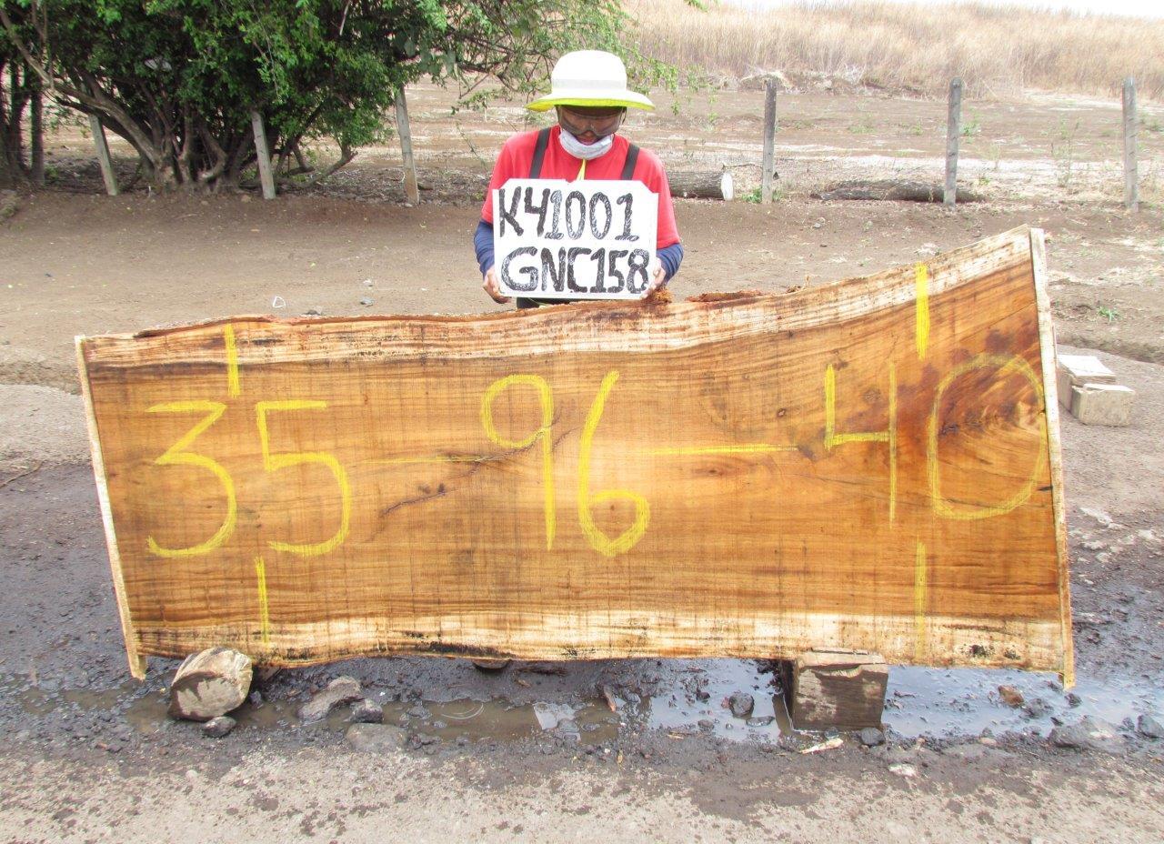 Image of PAROTA - 96x38x2 Inches - K41001GNC - a live edge PAROTA slab, 96 Inches long, 38 Inches wide, and 2 Inches thick.