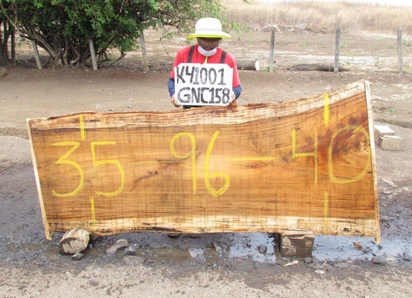 Image of PAROTA - 96x38x2 Inches - K41001GNC - a live edge PAROTA slab, 96 Inches long, 38 Inches wide, and 2 Inches thick.