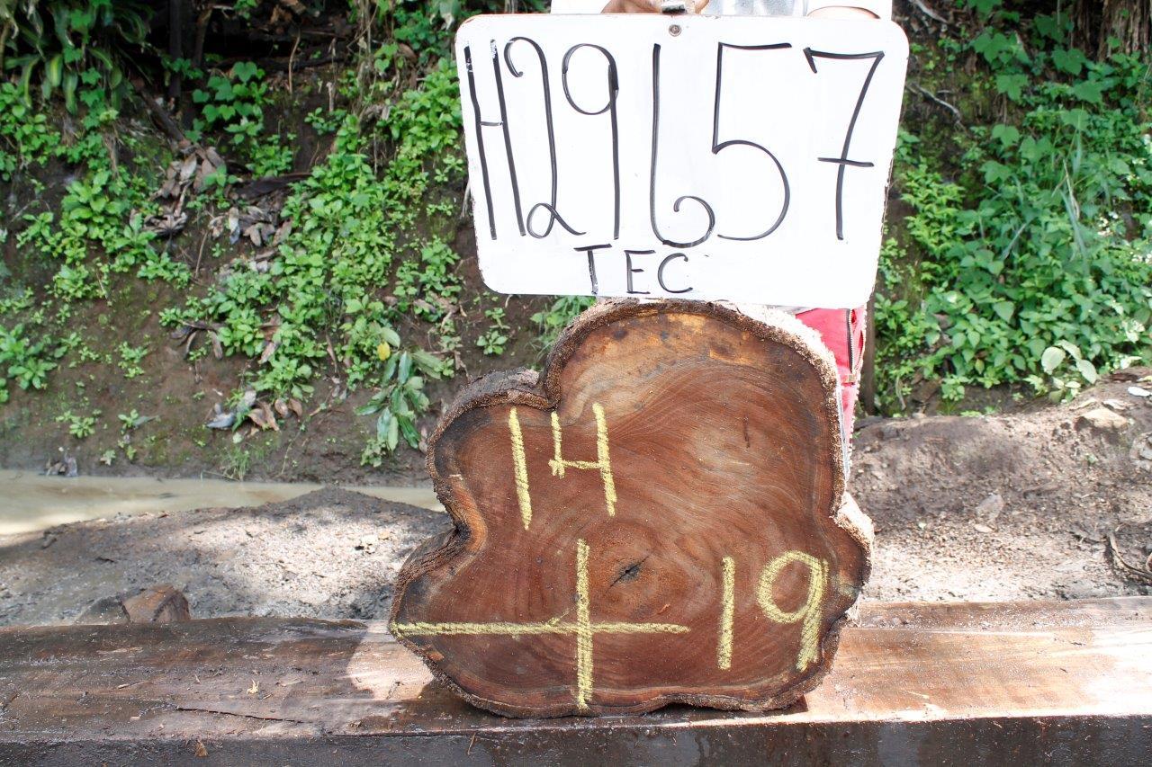 Image of TEAK - 19x14x2 Inches - H29657TEC - a live edge TEAK slab, 19 Inches long, 14 Inches wide, and 2 Inches thick.