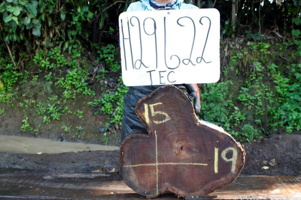 Image of TEAK - 19x15x2 Inches - H29622TEC - a live edge TEAK slab, 19 Inches long, 15 Inches wide, and 2 Inches thick.