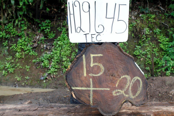 Image of TEAK - 20x15x2 Inches - H29645TEC - a live edge TEAK slab, 20 Inches long, 15 Inches wide, and 2 Inches thick.
