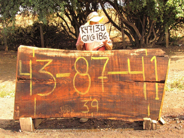 Image of PAROTA - 87x41x2 Inches - K47130GNC - a live edge PAROTA slab, 87 Inches long, 41 Inches wide, and 2 Inches thick.