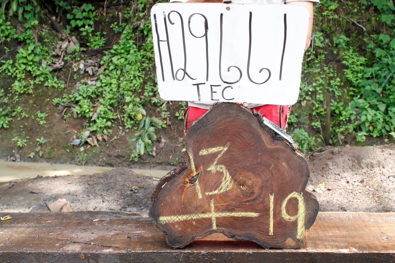 Image of TEAK - 19x13x2 Inches - H29661TEC - a live edge TEAK slab, 19 Inches long, 13 Inches wide, and 2 Inches thick.
