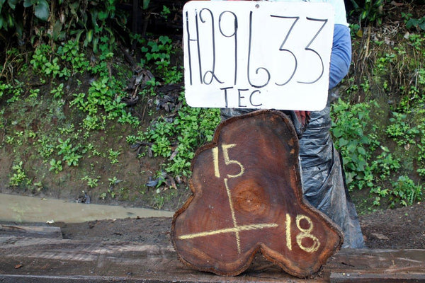 Image of TEAK - 18x15x2 Inches - H29633TEC - a live edge TEAK slab, 18 Inches long, 15 Inches wide, and 2 Inches thick.
