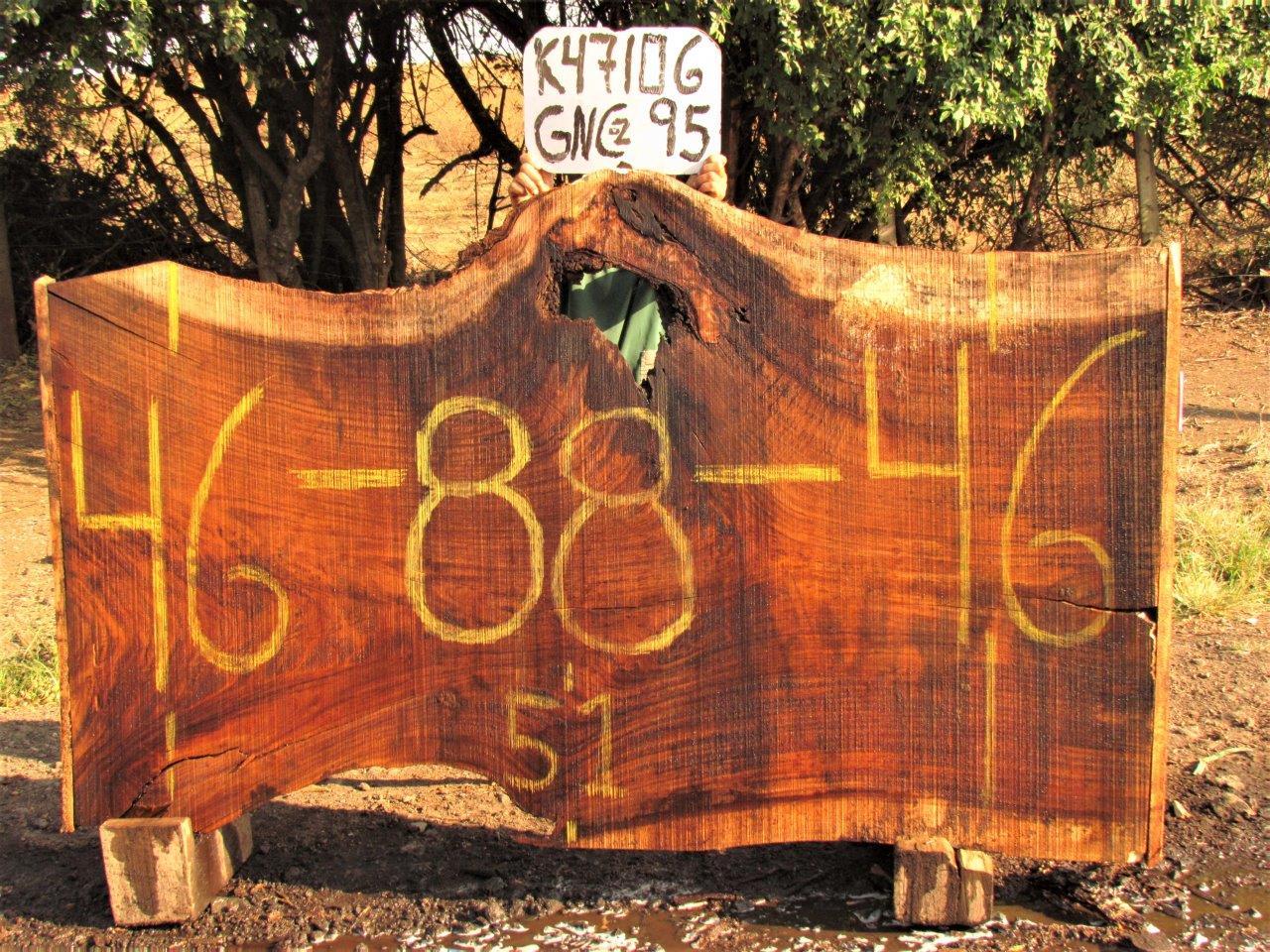 Image of PAROTA - 88x48x2 Inches - K47106GNC - a live edge PAROTA slab, 88 Inches long, 48 Inches wide, and 2 Inches thick.