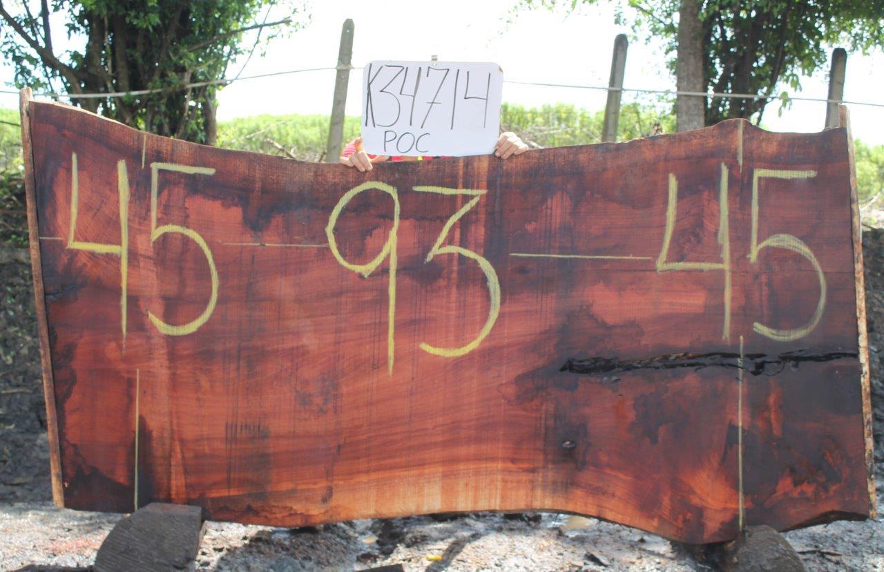 Image of POCHOTE - 93x45x2 Inches - K34714POC - a live edge POCHOTE slab, 93 Inches long, 45 Inches wide, and 2 Inches thick.