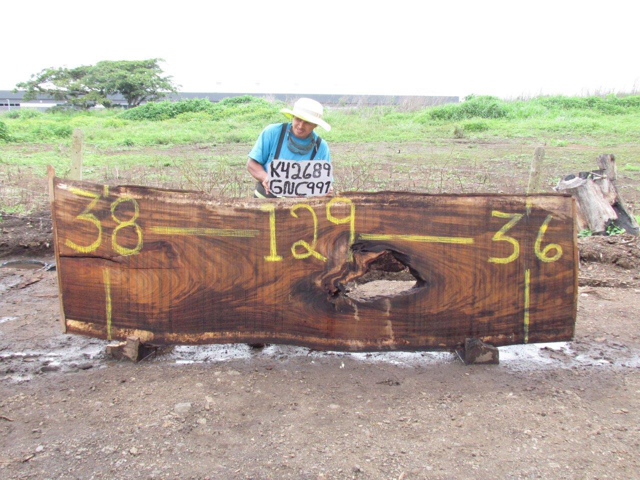 Image of PAROTA - 129x37x2 Inches - K42689GNC - a live edge PAROTA slab, 129 Inches long, 37 Inches wide, and 2 Inches thick.