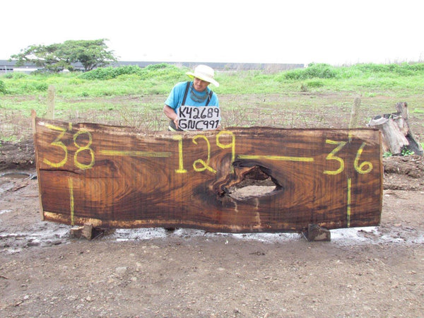 Image of PAROTA - 129x37x2 Inches - K42689GNC - a live edge PAROTA slab, 129 Inches long, 37 Inches wide, and 2 Inches thick.