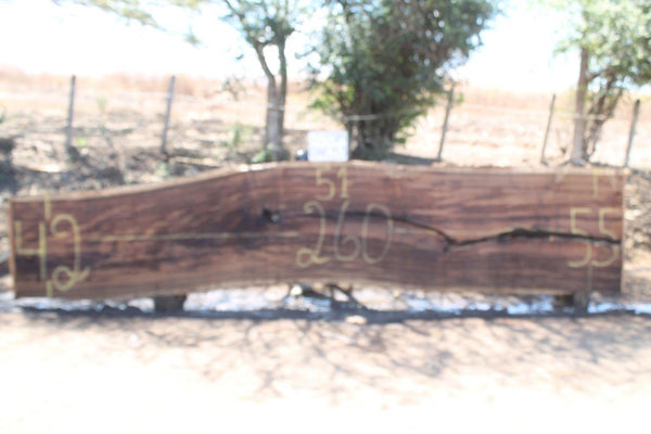 Image of PAROTA - 260x49x3 Inches - J23389GNC - a live edge PAROTA slab, 260 Inches long, 49 Inches wide, and 3 Inches thick.